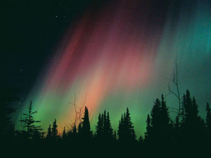A photograph shows the red and green glow of the aurora borealis with the silhouettes of trees in the foreground.