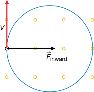A diagram shows the circular motion of a charged particle in a magnetic field. The magnetic field is out of the page. The positive particle is on the left side of the circle with a velocity toward the top of the page. The force is toward the centre of the circle, to the right.