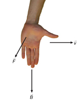 An illustration shows the applied left-hand rule. The view shows the hand held vertically with the palm facing the viewer, thumb pointing right, and fingers pointing straight down. The thumb points to the right in the direction of the electron, the fingers point downwards in the direction of the magnetic field and the palm points out of the page in the direction of the magnetic force.