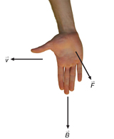An illustration shows the applied right-hand rule. The view shows the hand held vertically with the palm facing the viewer, thumb pointing left, and fingers pointing straight down. The thumb points to the left in the direction of the positive charge, the fingers point downwards in the direction of the magnetic field and the palm points out of the page in the direction of the magnetic force.