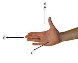 An illustration shows the application of the right-hand rule. The view shows the hand held horizontally with the palm facing the viewer, thumb pointing up, and fingers pointing to the left. The thumb points north in the direction of the positive charge.  The fingers point west in the direction of the magnetic field and the palm points upward in the direction of the magnetic force.