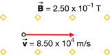 An illustration shows a proton moving towards the right at 8.50 times 10 exponent 4 m/s. The magnetic field is upward with a strength of 2.50 times 10 exponent minus 1 T.