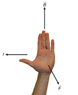 A labelled illustration of the left hand shows the left hand rule. The view shows the hand held vertically with the palm facing the viewer, thumb to the left and fingers pointing straight up. The thumb points in the direction of the current, the fingers point in the direction of the magnetic field and the palm points in the direction of the magnetic force.