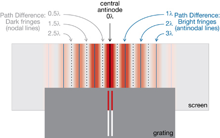 A diagram shows the bright and dark fringes created when light is diffracted in a two-slit experiment and the path differences as measured outwards from the central antinode. A screen with bands of dark and bright fringes is behind a two-slit grating. 