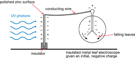 A diagram shows UV photons hitting a polished zinc surface, which is connected to an electroscope by a conducting wire. When ultraviolet light is incident on the polished zinc surface, the negatively charged leaves of the electroscope fall.