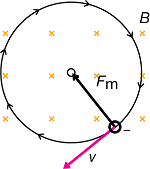 A diagram shows that a uniform perpendicular magnetic force will cause the charged particle to move along a circular path of constant radius. This is represented by a series of x’s to represent the magnetic field, which is oriented out of the page. A circle marked with arrows shows that the negatively charged particle is travelling clockwise around a circular path. The magnetic force is pointing to the centre of the circle.