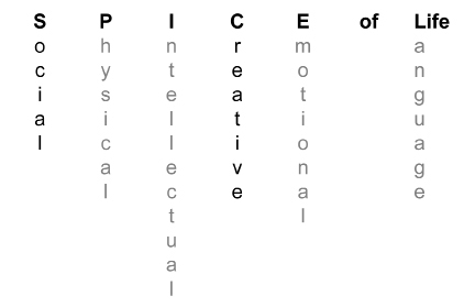 This illustration shows the words Spice of Life running horizontally, with the word “social” descending from the letter s, the word “physical” descending from the letter p, the word “intellectual” descending from the letter i, the word “creative” descending from the letter c, the word “emotional” descending from the letter e, and the word “language” descending from the letter l.