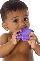This photo shows a young boy with a toy in his mouth.