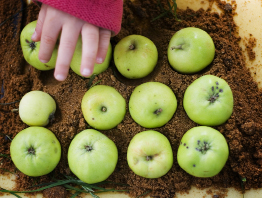 This photo shows a child pretending to make apple pie from dirt, grass, and small green crab apples.