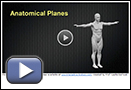 This is a play button that opens ‚ÄúAnatomical Planes and Spatial Relationships in the Human Body.‚Äù 
