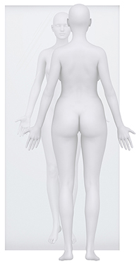 This is an image of a body standing in anatomical position.