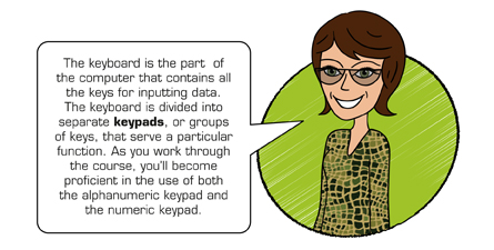 This image shows an illustration of a teacher saying the following: The keyboard is the part of the computer that contains all the keys for inputting data. The keyboard is divided into separate keypads, or groups of keys, that serve a particular function. As you work through the course, you‚Äôll become proficient in the use of both the alphanumeric keypad and the numeric keypad.