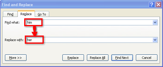 This screen shot shows the Find and Replace window