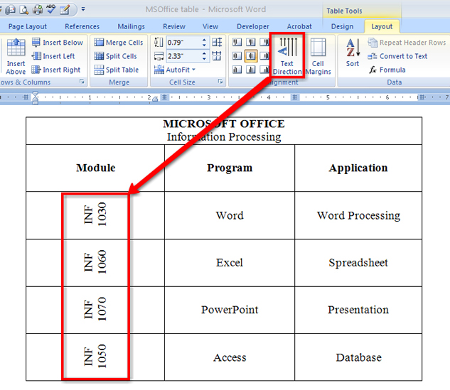 This diagram shows the Text Direction button in the Alignment group, and text in the first column turned in a different direction.
