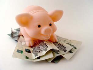 This photo shows a piggy bank on a pile of Canadian twenty-dollar bills.