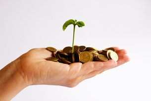 This photo shows a hand holding coins with a plant sprout growing out of the coins.