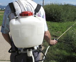 This photo shows a worker operating a back-mounted sprayer.
