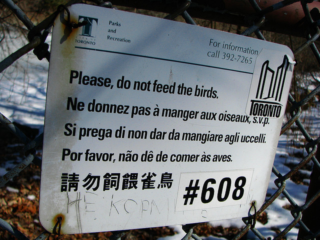Multilingual Sign