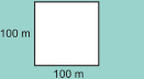 This diagram shows a square labelled as having a side length of 100 m.