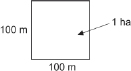 This diagram shows a square labelled as having sides 100 m long. Its area is labelled as 1 ha.