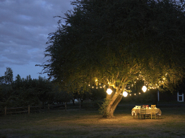 This is a photo of a table in a yard illuminated by lights hanging from a big tree.