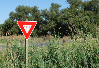 This photograph shows a yield sign along a country road.