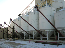 This photograph shows a group of metal hoppers at a seed-cleaning plant.