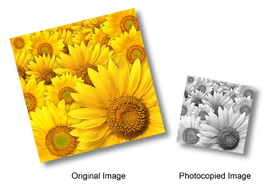 This graphic shows an original image and a black-and-white photocopy of the same image. The area of the photocopy is one-quarter of the area of the original.