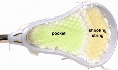 This is a graphic of the webbing of a lacrosse stick.