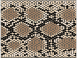 This is a close-up photograph showing a parallelogram-shaped pattern on a snake’s skin.