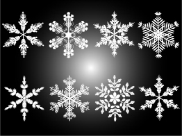 This is an image of snowflakes on a black background.