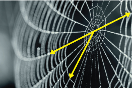 A photo of a spiderweb shows rays overlaid on spokes on the web to highlight supplementary adjacent angles.
