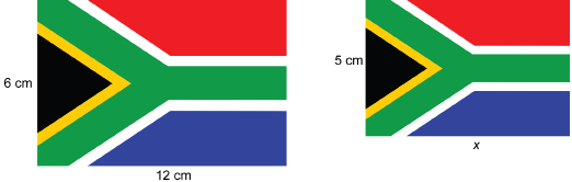 These photographs show two different sizes of the South African flag. One measures 6 centimetres by 12 centimetres. The other measures 5 centimetres by x.
