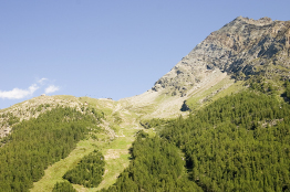 This photograph is of a mountain slope prone to avalanches.