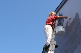 This photograph is of a woman painting the side of a house. She is standing on a ladder.