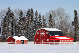 This winter photo is of a barn and a lean-to.