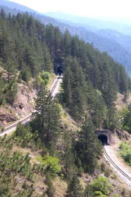 This photo shows a portion of the trans-continental railway in the Canadian Rockies.