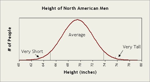height bell curve