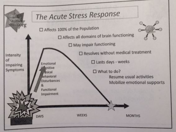Stress response