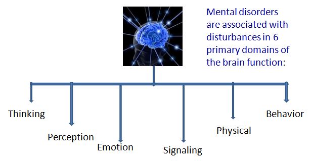 Primary domains of brain function