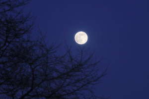 full moon