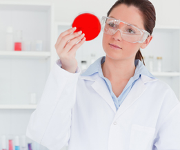 This is a picture of a scientist looking at a sample of bacteria.