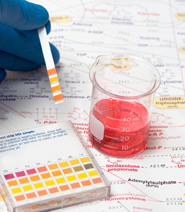 This is a photo of a solution and a pH strip.