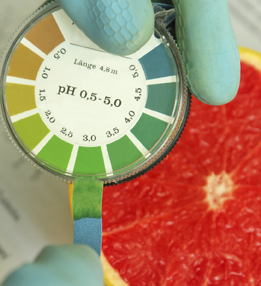 This is a photo of a person determining the pH of a grapefruit using a pH indicator strip.